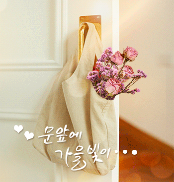 남.1인[로운]홈케어