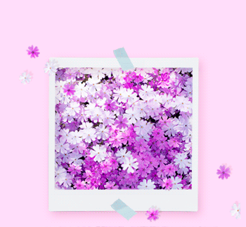 분당1인샵[미아]