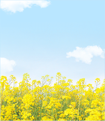 수원.권선[샴푸]