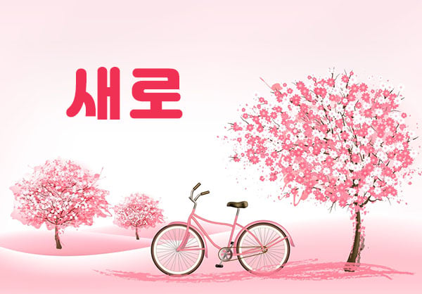 시흥1인샵&홈[새로스웨디시]