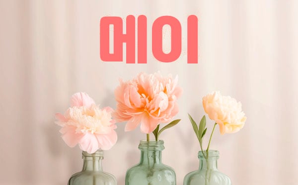 제주.연동1인샵[메이]