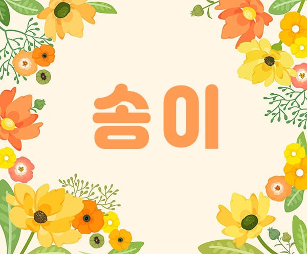 안양.평촌1인샵[송이]