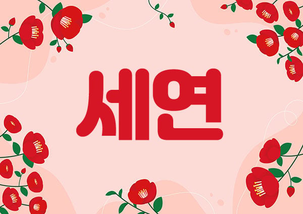 1인홈케어[세연]