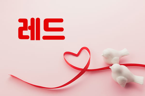 강원.원주1인샵[레드]