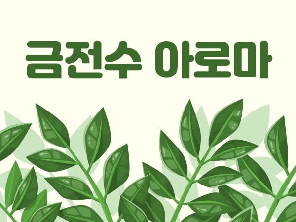 전주.인후동[금전수아로마]
