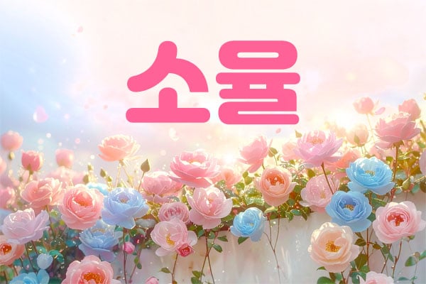 1인홈케어[소율]