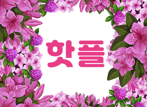 제주.연동[핫플]